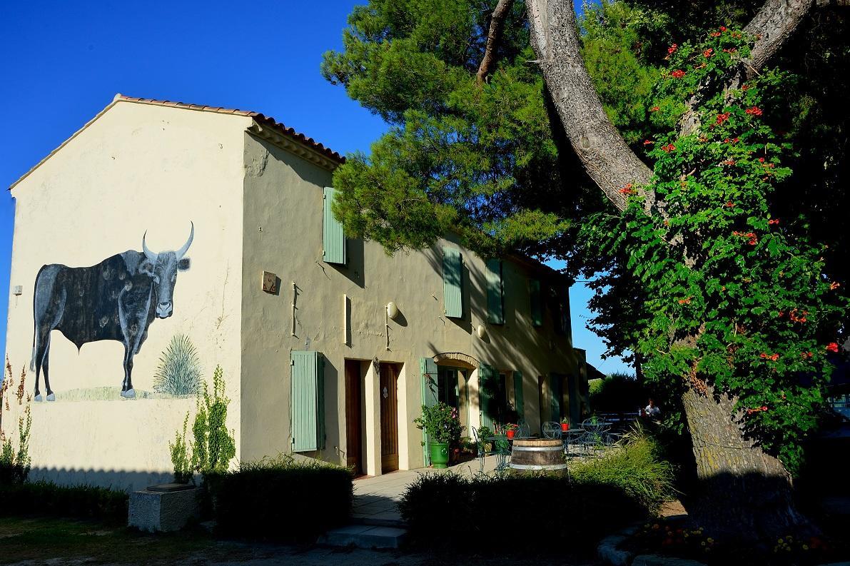 Manade Saint Louis Mas De La Paix Bed & Breakfast Вовер Екстериор снимка